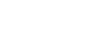 VW Audi specialists